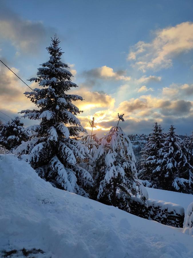 Le Chalet De Rothenbuhl Dabo Eksteriør bilde