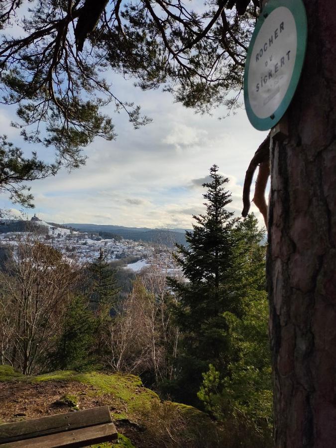 Le Chalet De Rothenbuhl Dabo Eksteriør bilde